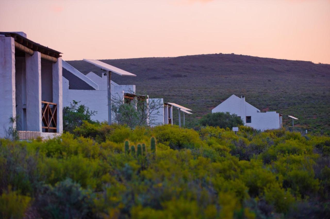 African Game Lodge モンタギュー エクステリア 写真