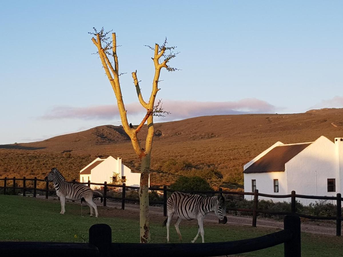 African Game Lodge モンタギュー エクステリア 写真
