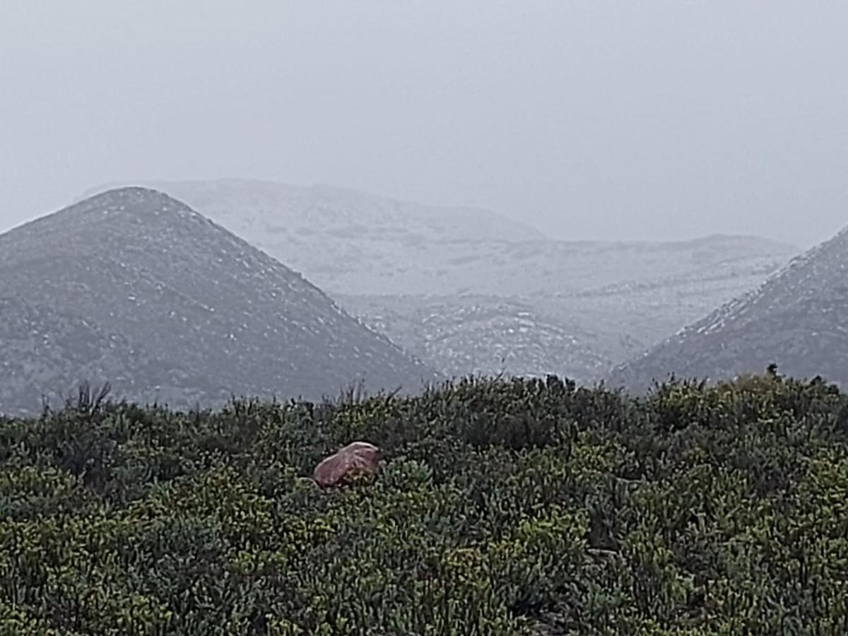 African Game Lodge モンタギュー エクステリア 写真