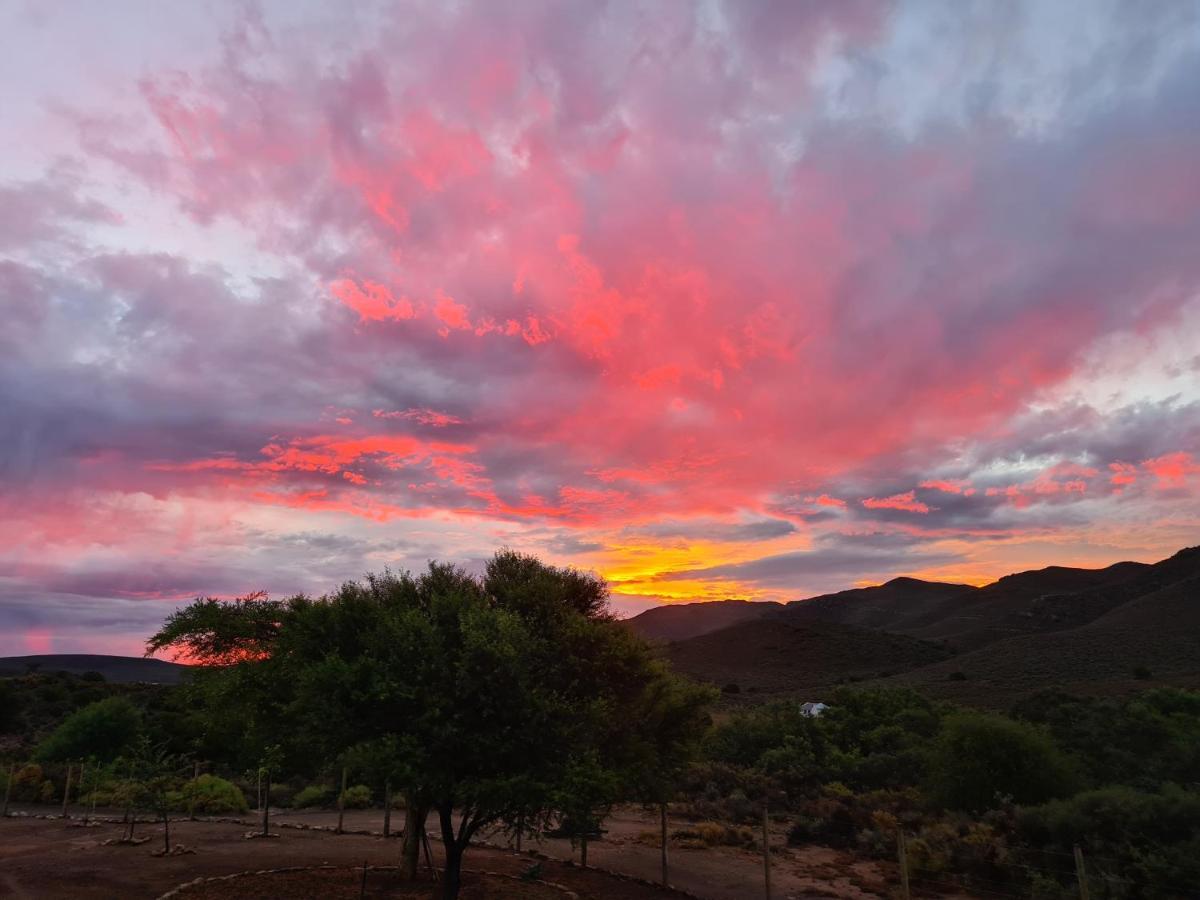 African Game Lodge モンタギュー エクステリア 写真