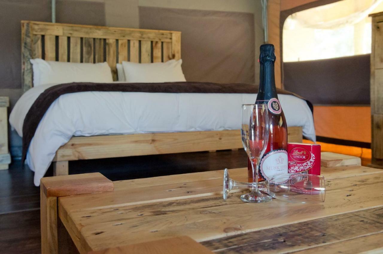 African Game Lodge モンタギュー エクステリア 写真